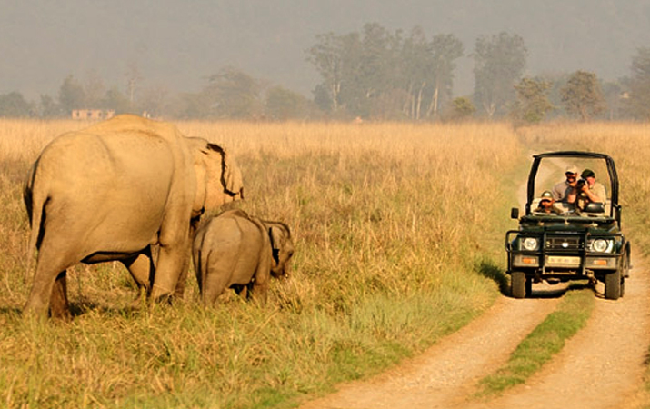 jim corbett